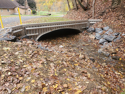 Narrow Lane crossing replacement structure, inlet view